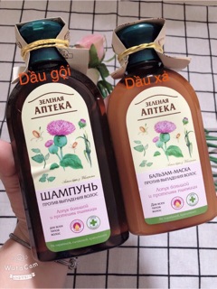 DẦU GỘI CHỐNG RỤNG TÓC ANTEKA