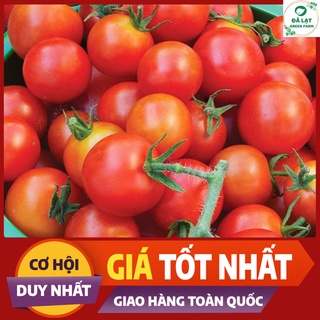 🍅Hạt giống Cà Chua Bi Chùm_30 Hạt🍅