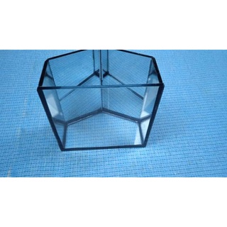 Keo show cá betta 4 mặt gương