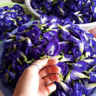 Muối tắm thảo dược handmade