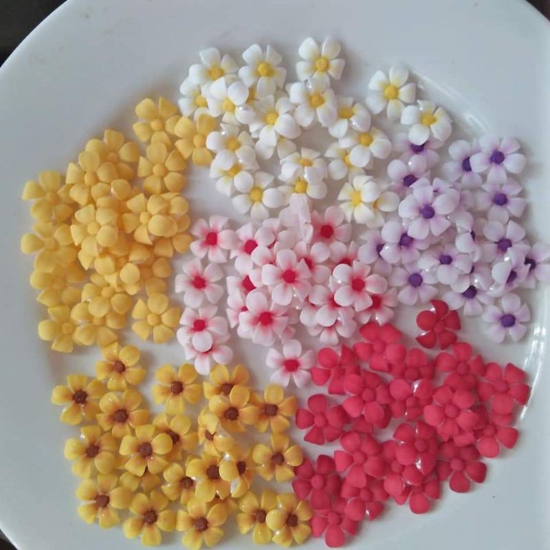 hoa bột móng màu nn