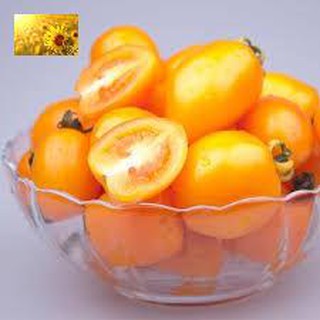 Hạt Giống Cà Chua Bi Vàng (30Hạt)