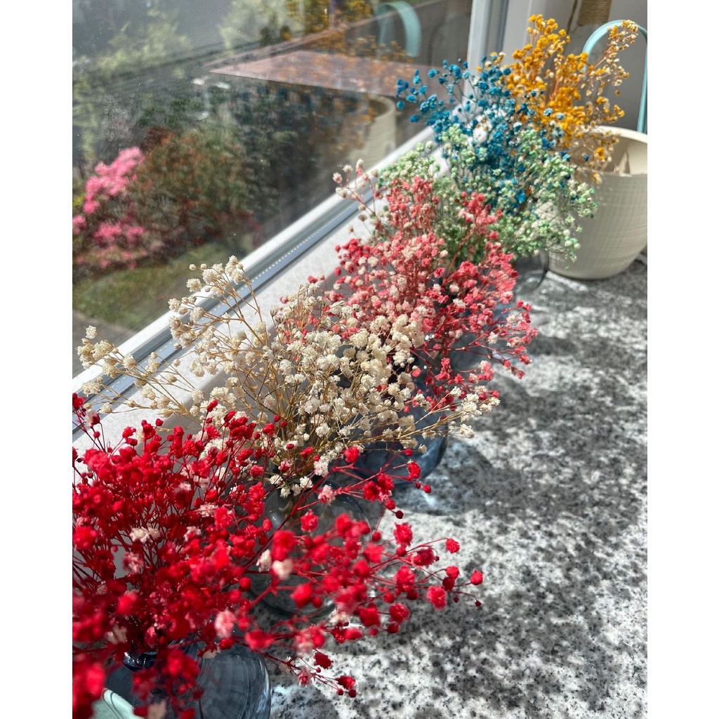 🍁 Set hoa baby khô nhiều màu 🍁 lọ hoa khô cắm sẵn trang trí phòng ngủ🍁