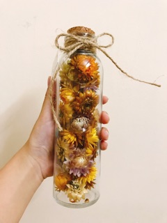 Bình thuỷ tinh hoa bất tử 330ml