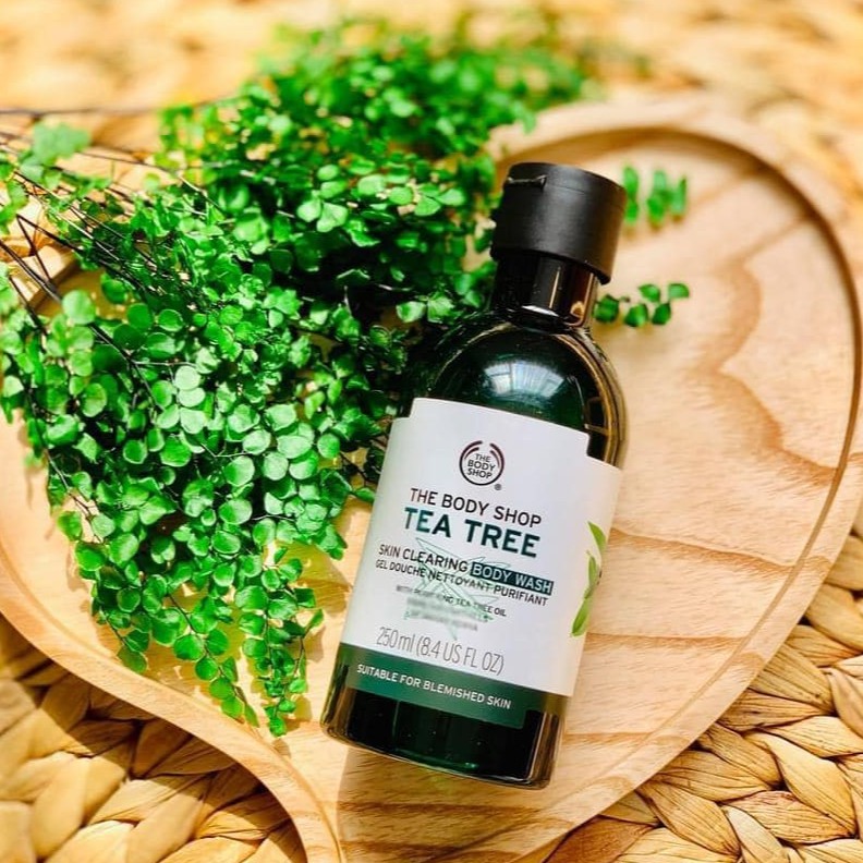 Sữa Tắm Tea Tree The Body Shop 250ml - Hàng Chuẩn Công Ty | BigBuy360 - bigbuy360.vn