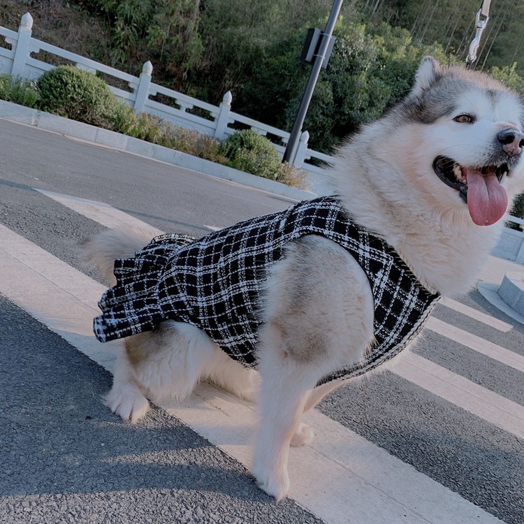 váy hoa trà áo chó quần áo cho chó quần áo cho mèo váy chó váy cho mèo quần áo thú cưng Chó nhỏ và trung bình chó lớn Husky Alaska