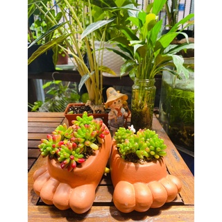 Chậu đôi bàn chân _ chậu đất nung trồng sen đá _ gốm sứ sân vườn