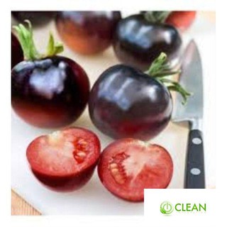 Hạt giống cà chua bi đen 30 hạt