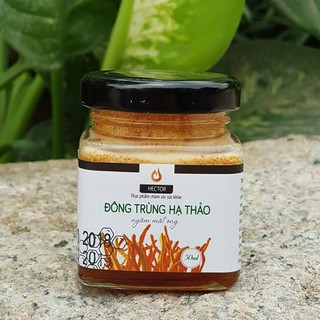 Đông trùng hạ thảo Hector ngâm mật ong hộp 50ml