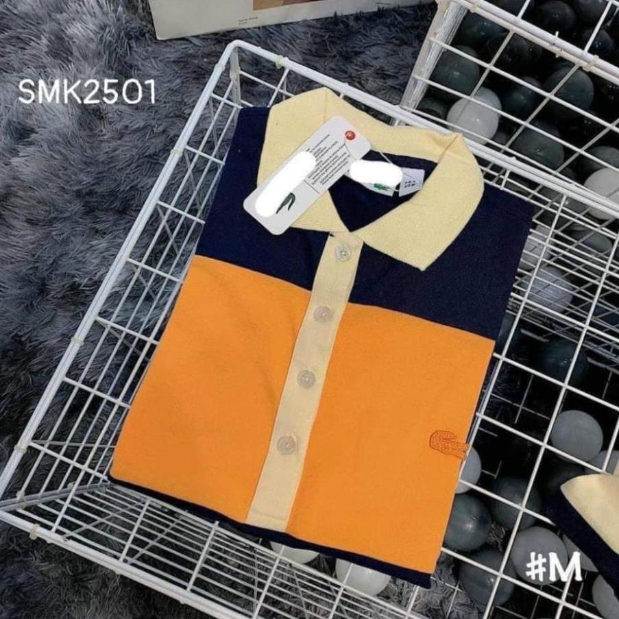 (sỉ=lẻ) ÁO PHÔNG POLO NỮ CÓ CỔ PHỐI MÀU SIÊU ĐẸP New