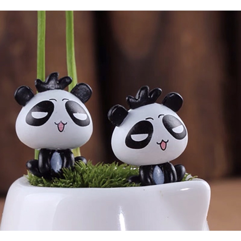 Tiểu Cảnh Gấu Trúc Cute | Phụ Kiện Trang Trí Tiểu Cảnh Terarium, Sen Đá, Xương Rồng