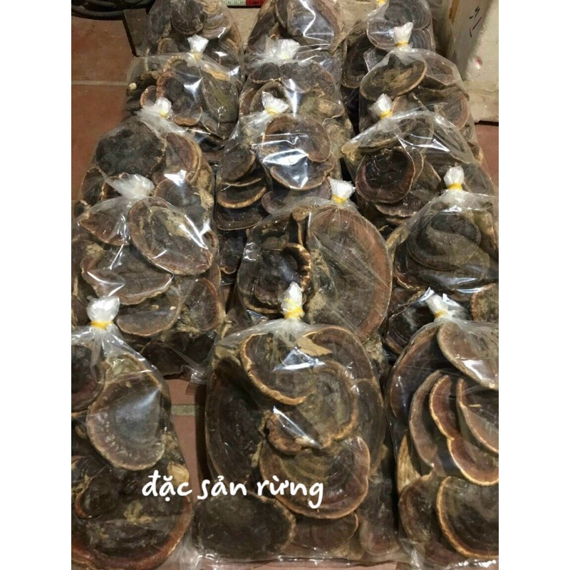 Nấm linh Chi Rừng - đặc sản rừng  túi 500gr - 1kg