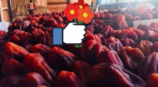 Organic 100% hồng sấy dẻo Đà Lạt