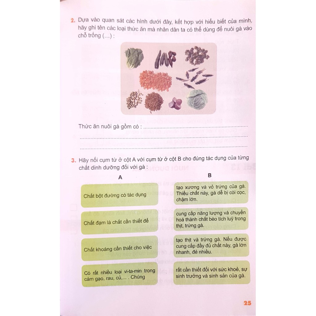 Sách - Thực hành kĩ thuật 5