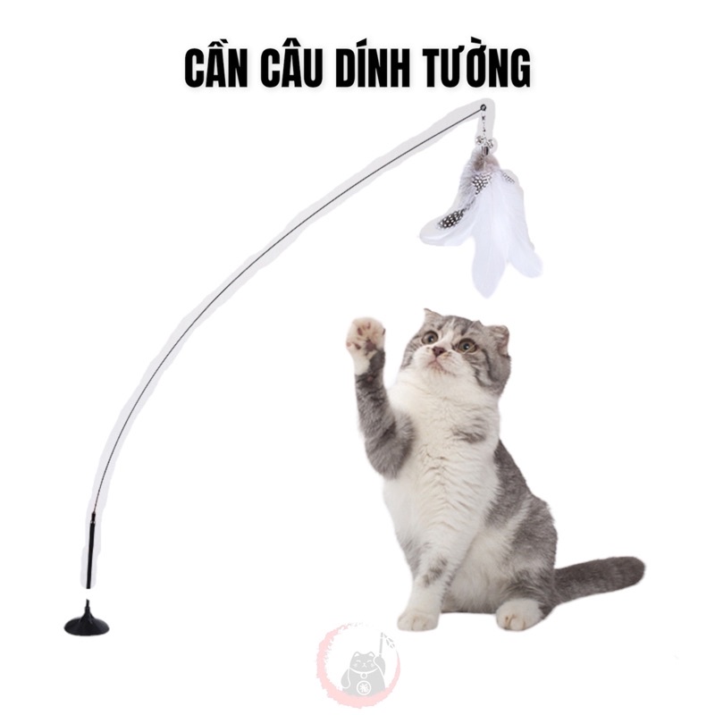 cần câu dính tường 2 in 1
