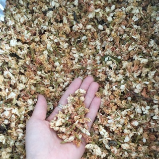 1kg Hoa Nhài (Hoa Lài ) nguyên bông