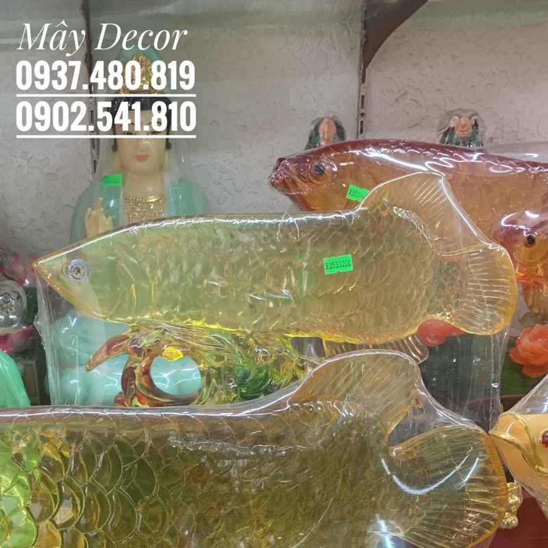 Tượng Cá Rồng 37x25x17