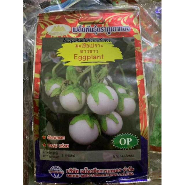 HẠT GIỐNG CÀ PHÁO TRẮNG CHÙM THÁI LAN