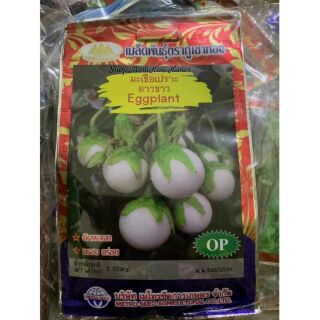 HẠT GIỐNG CÀ PHÁO TRẮNG CHÙM THÁI LAN