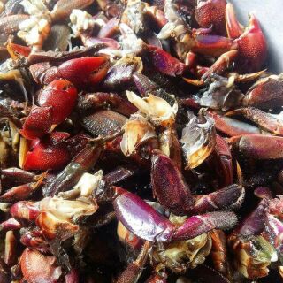 Ba Khía trộn sẵn