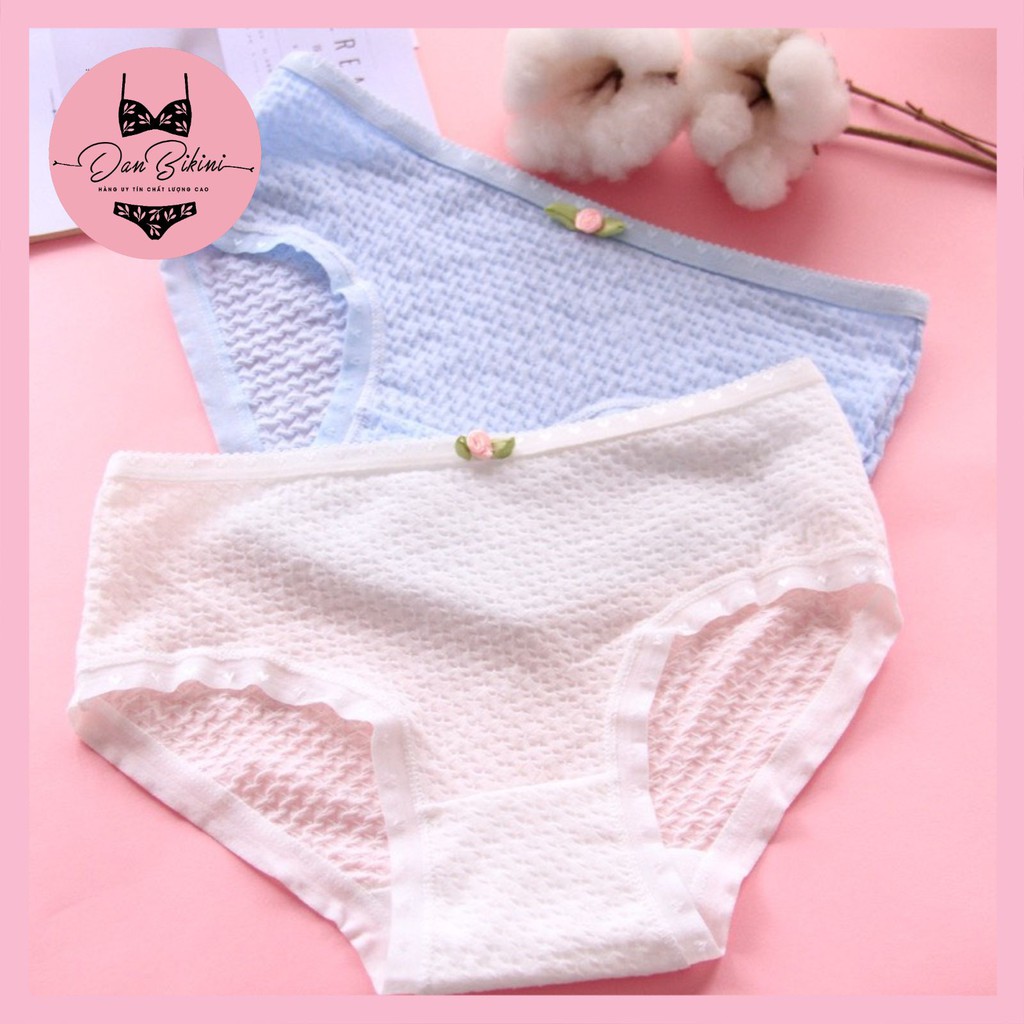 Quần Lót Nữ Cotton kháng khuẩn thoáng mát được chọn màu mã 9040 | BigBuy360 - bigbuy360.vn