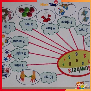 Flashcard mind map khổ A4