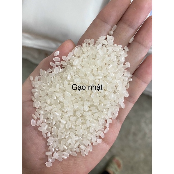 Gạo nhật hạt tròn bao 25kg dẻo nhiều gạo làm sushi