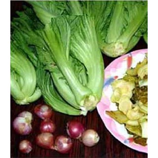 Hạt giống rau Cải bẹ dưa (20gr)