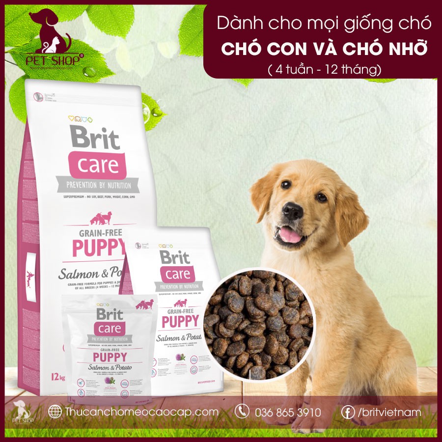 Thức Ăn Cho Chó Con Và Chó Nhỡ Brit Care Grain-Free Puppy Salmon & Potato 3kg - Đơn Vị Phân Phối Chính Thức