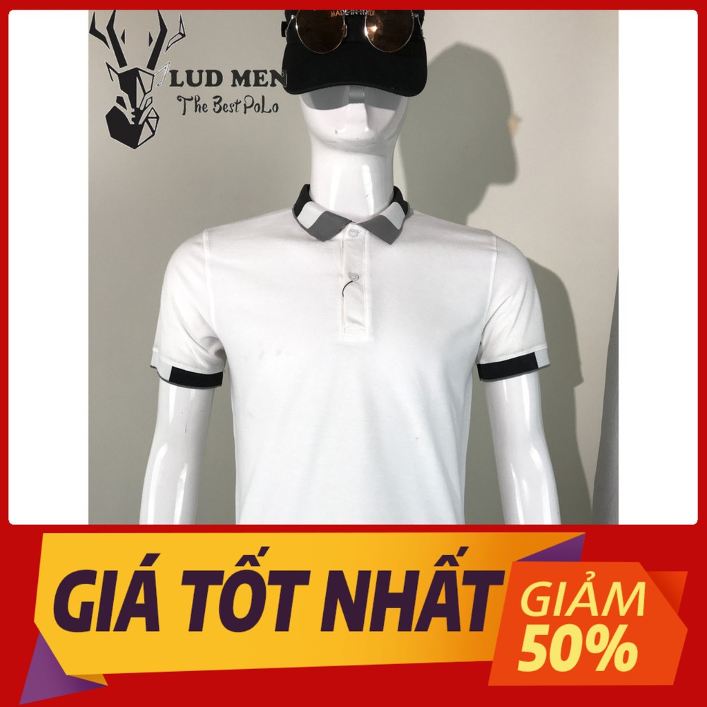Áo Polo Nam phối màu cao cấp cổ trụ thun cao cấp from chuẩn, thiết kế phong cách sang trọng