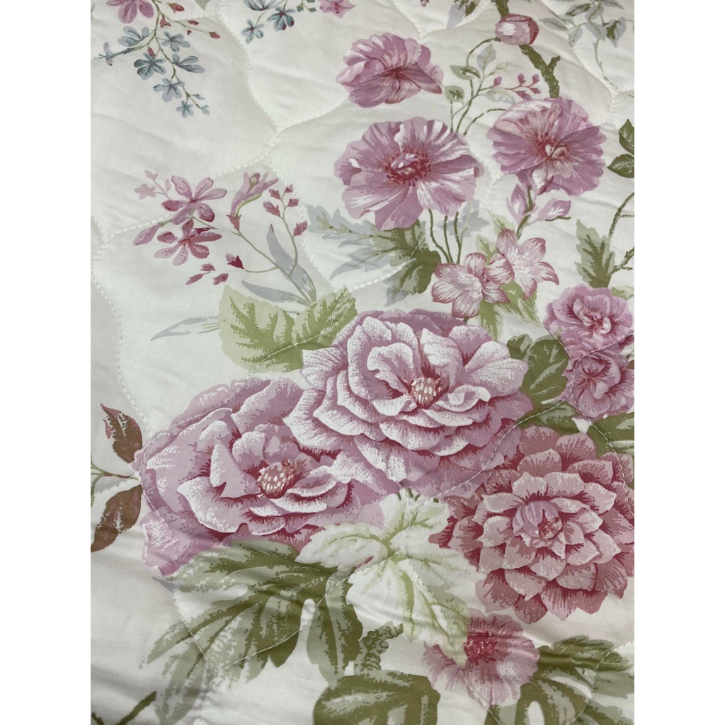 Bộ Drap chun chần EVERON carna