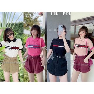 Áo len dệt kim polo Tommy co giản siêu sang chảnh thoáng mát