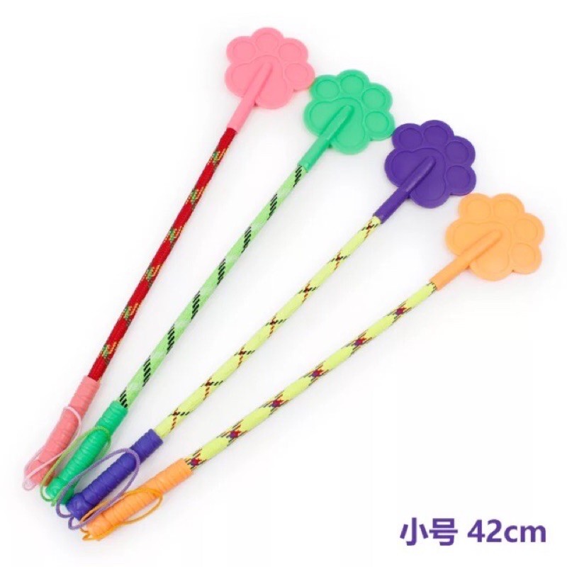 Roi kỷ luật (roi huấn luyện) thú cưng