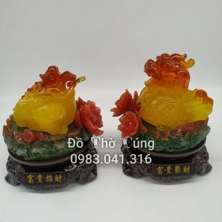 Cóc tỳ hưu hoa đế gỗ