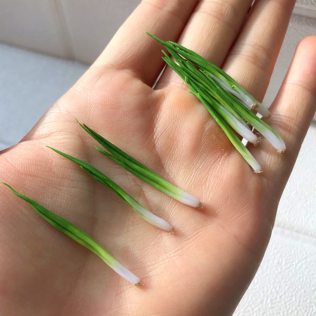 Mô hình hành lá mini cho nhà búp bê từ đất sét tỉ lệ 1/12