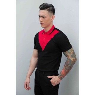[100% Cotton] Áo Polo Nam - Hàng Thiết Kế Chính Hãng Rosi / Mã Áo: P11