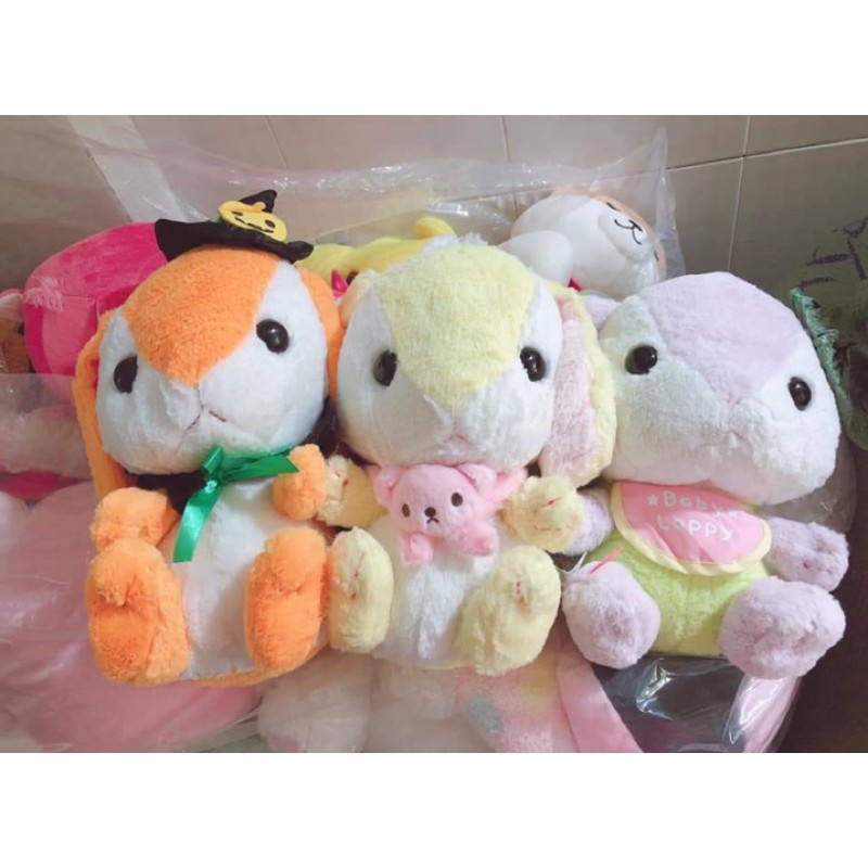 gấu bông của chị Quyên