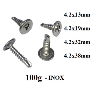 100g VÍT TỰ KHOAN ĐẦU DÙ INOX
