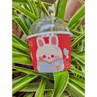 Set 50 cốc giấy đựng kem nắp cầu