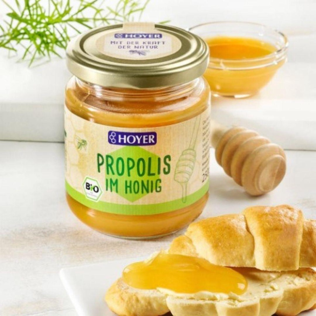 Mật Ong Keo Ong Hữu Cơ Hoyer Organic Bee Propolis Honey 250g - Mật Ong Rừng Hữu Cơ - Mật Ong Nguyên Chất - Bếp Xanh