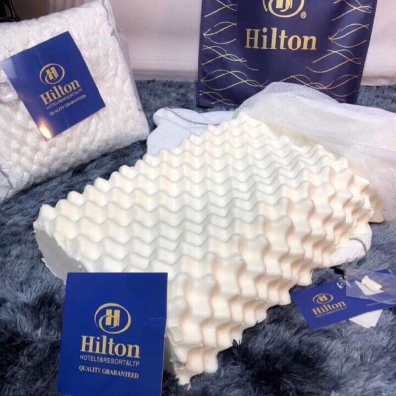 GỐI CAO SU NON HILTON /Ventry_100% cao su thiên nhiên