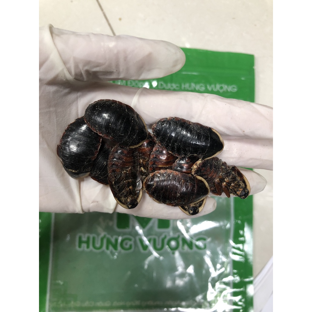 100gr Thổ Miết Trùng