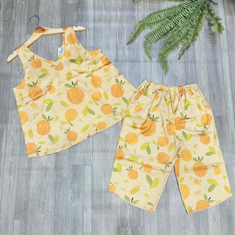 Đồ bộ lửng vải Latin