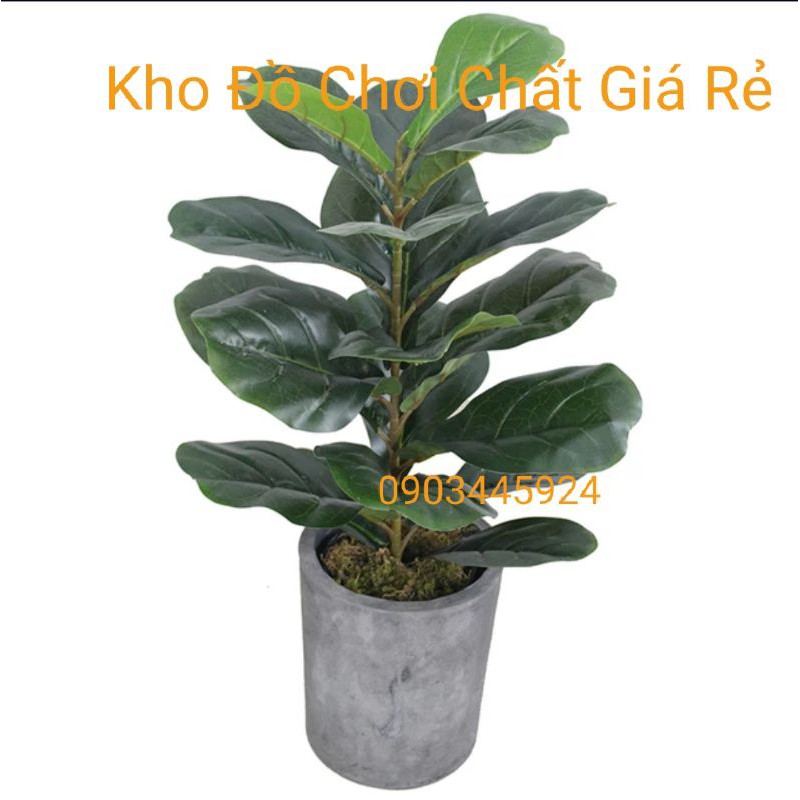 Cây bàng 1 nhánh lá bóng cao 58cm-Cây giả