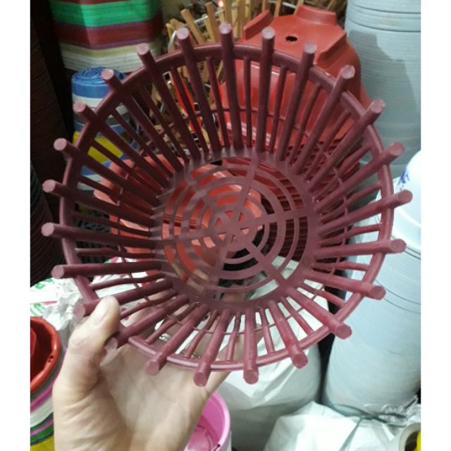 Combo 10 chậu trồng lan 20cm siêu Hot