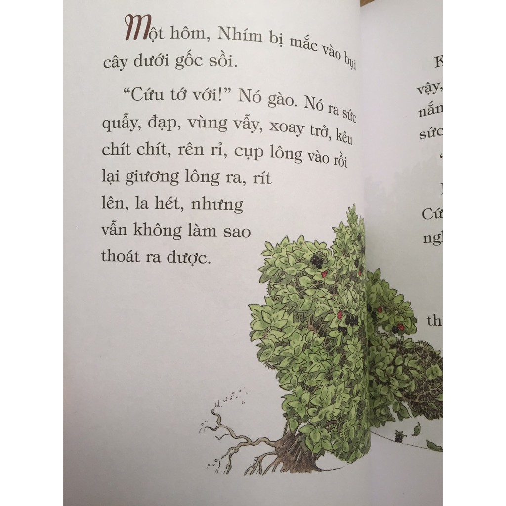 Sách - Một Cuộc Phiêu Lưu Ra Trò Và Rắc Rối