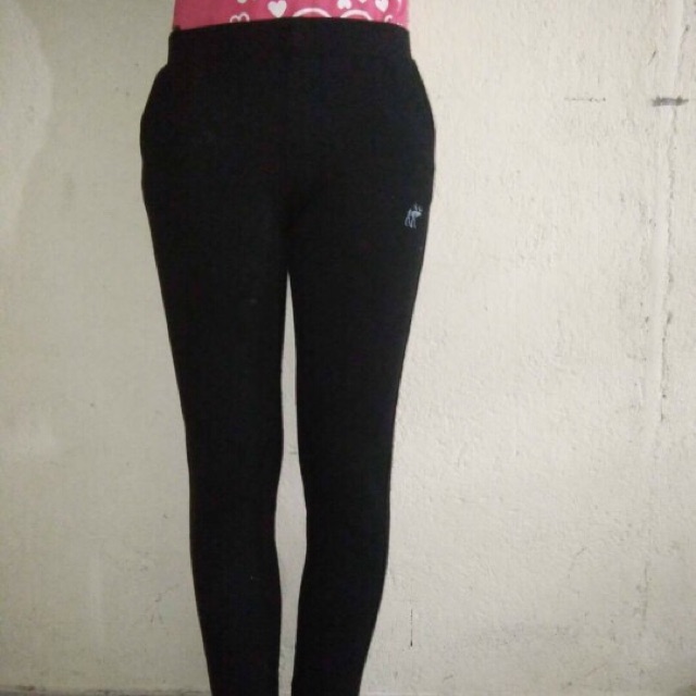 Quần thun nữ mẫu mới 01