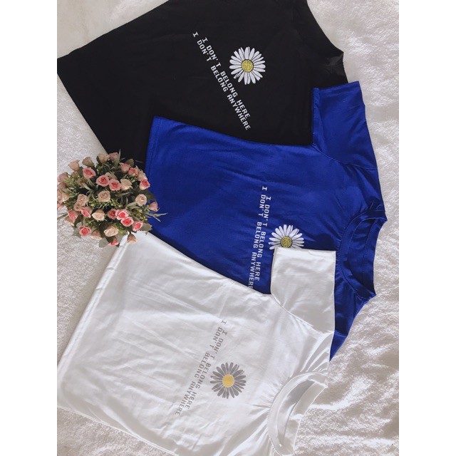 Áo Thun Nữ-Áo Thun Cộc Tay Nữ IN Hình Hoa Cúc Chất Cotton Co Dãn | BigBuy360 - bigbuy360.vn