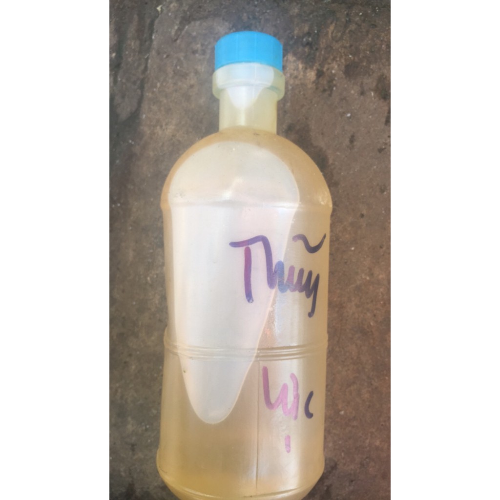 Nhớt Thủy Lực 10