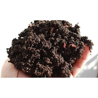 Phân Trùn Quế LAVAMIX 2kg